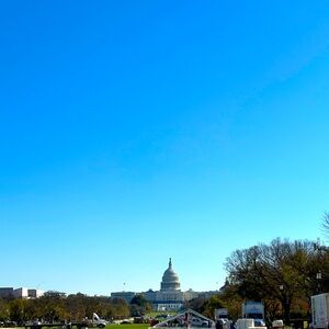 Meet your Posher, Lulu!!